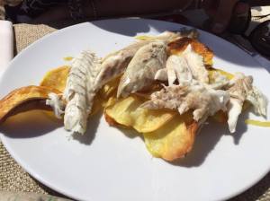 12986645_10153492207032256_2092669334_o